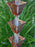 Pre-aged pure copper square cup rain chain with decorative slotted cutouts