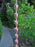 Pure copper smooth cup rain chain decorative downspout alternative