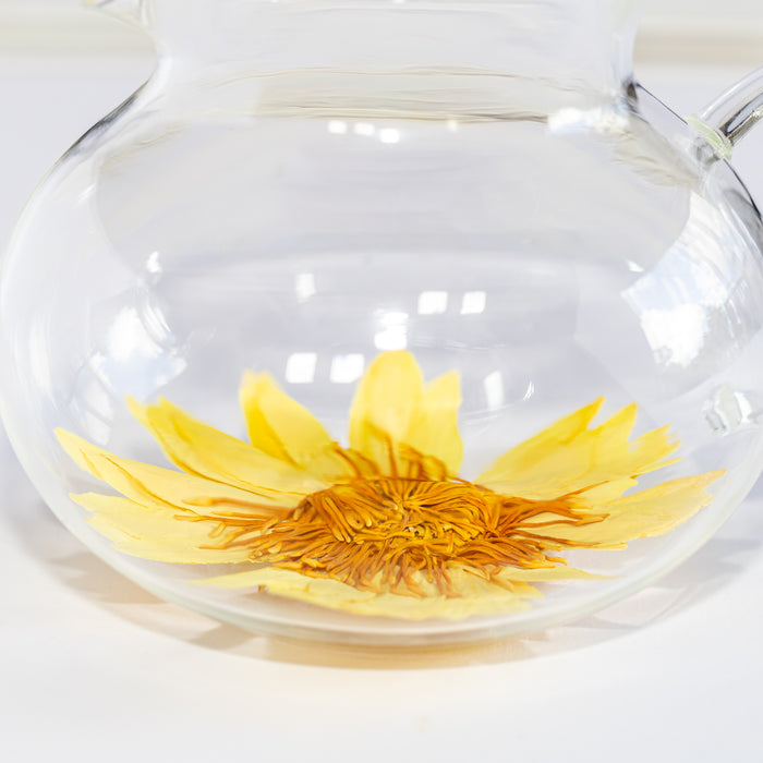 yellow whole tropical water lily flower tea nymphaea
