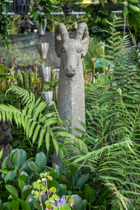 Capricorn Slender Goat Head Statue