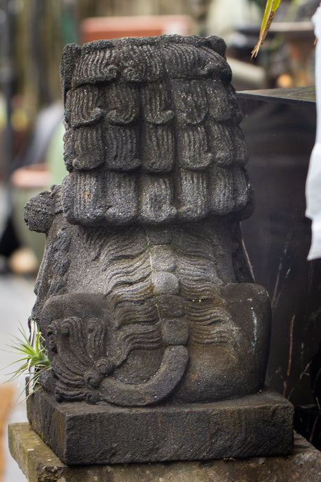Female Fu dog hand carved black lava stone naturally aged back