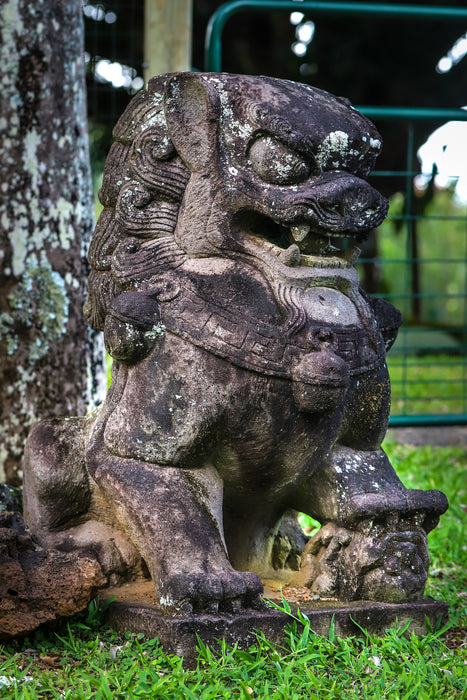 Large hand carved lava rock fu dog female weathered aged stone yard statue