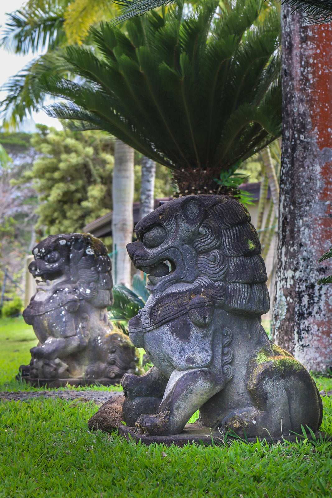 Large Aged Lava rock Fu Dogs — Indo Pacific Emporium