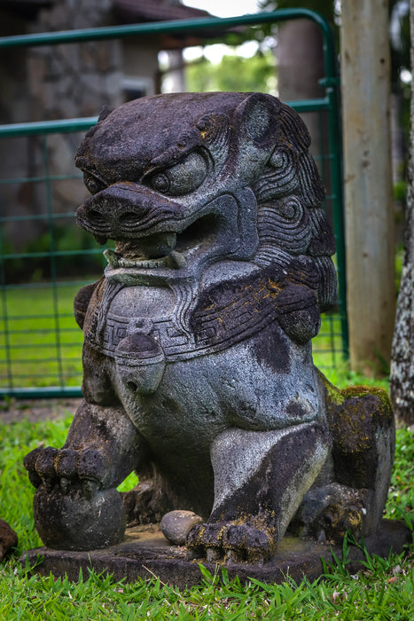 Large hand carved lava rock fu dog male weathered aged stone yard statue