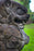 Large hand carved lava rock fu dog weathered aged stone yard statue