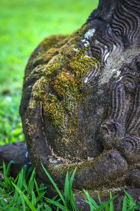 Large hand carved lava rock fu dog weathered aged stone yard statue moss