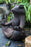 meditating frog concrete statue garden black finish