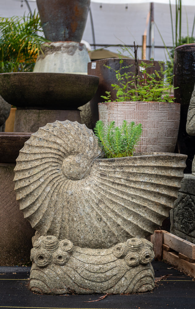 nautilus stone hand carved planter