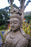 Guan Yin face hand carved statue large stone Indonesian