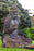 Seated Devi Tara in Half lotus large hand carved stone garden statue lava